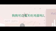 狗狗可以每天吃鸡蛋吗