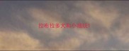 拉布拉多犬和小孩玩