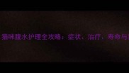别放弃猫咪腹水护理全攻略症状治疗寿命与日常养护