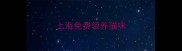 上海免费领养猫咪