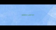 宠物药什么牌子好