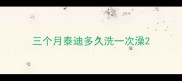 三个月泰迪多久洗一次澡
