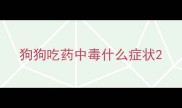狗狗吃药中毒什么症状