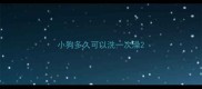 小狗多久可以洗一次澡