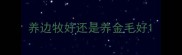 养边牧好还是养金毛好