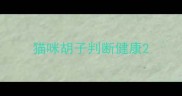 猫咪胡子判断健康