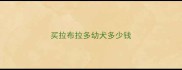 买拉布拉多幼犬多少钱