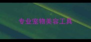 专业宠物美容工具