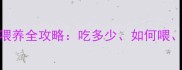 半个月大幼犬喂养全攻略吃多少如何喂注意事项全