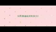 50天泰迪幼犬吃多少