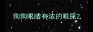 狗狗眼睛有浓的眼屎