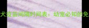 八联疫苗与狂犬疫苗间隔时间表幼宠必知的免疫关键期指南