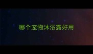 哪个宠物沐浴露好用