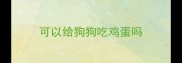 可以给狗狗吃鸡蛋吗