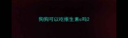 狗狗可以吃维生素c吗