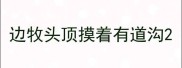 边牧头顶摸着有道沟