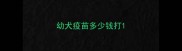 幼犬疫苗多少钱打