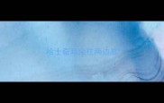 哈士奇耳朵往两边靠