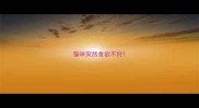 猫咪突然食欲不好
