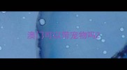 澳门可以带宠物吗