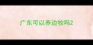 广东可以养边牧吗
