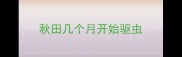 秋田几个月开始驱虫