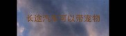 长途汽车可以带宠物