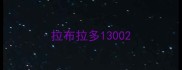 拉布拉多1300