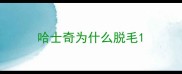 哈士奇为什么脱毛