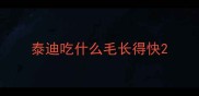 泰迪吃什么毛长得快