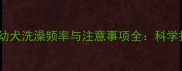 拉布拉多幼犬洗澡频率与注意事项全科学护理指南