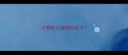 小狗吃火腿肠拉肚子