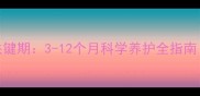 狗狗骨骼发育关键期3-12个月科学养护全指南附分月阶段