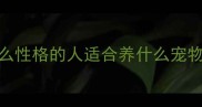 最新养宠指南什么性格的人适合养什么宠物附选宠避坑清单