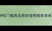 新手必看5种低门槛高治愈的宠物推荐清单附避坑指南