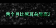 两个月比熊耳朵里面