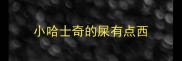 小哈士奇的屎有点西