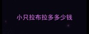 小只拉布拉多多少钱