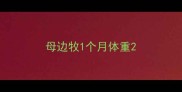 母边牧1个月体重