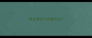哈士奇几个月能长大
