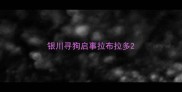 银川寻狗启事拉布拉多