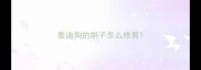 泰迪狗的胡子怎么修剪