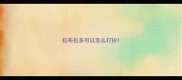 拉布拉多可以怎么打扮