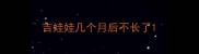 吉娃娃几个月后不长了