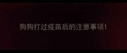 狗狗打过疫苗后的注意事项