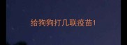给狗狗打几联疫苗