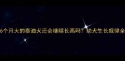 6个月大的泰迪犬还会继续长高吗幼犬生长规律全