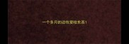 一个多月的边牧爱咬东西