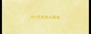 4个月犬怎么驱虫