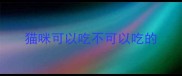 猫咪可以吃不可以吃的
